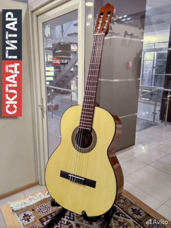 Cort AC100-SG купить в Екатеринбурге